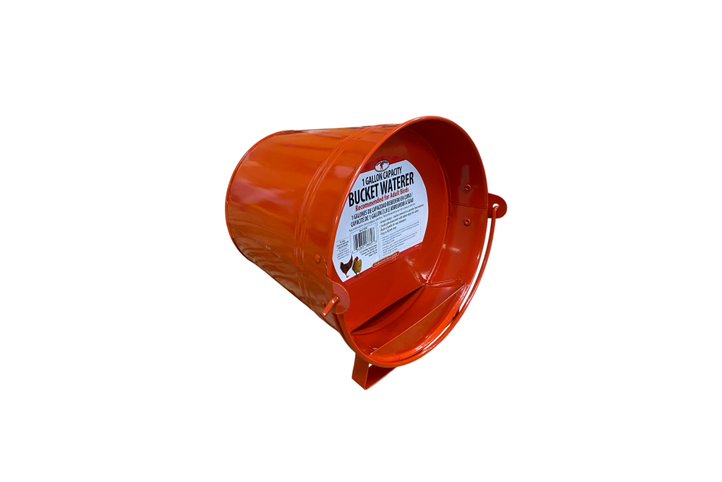 Galvanized Painted Bucket Waterer - 1 Gallon