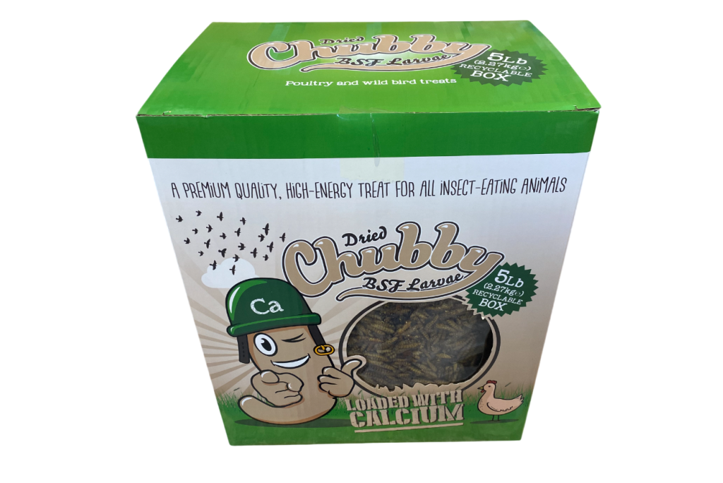 Chubby Dried BSF Larvae