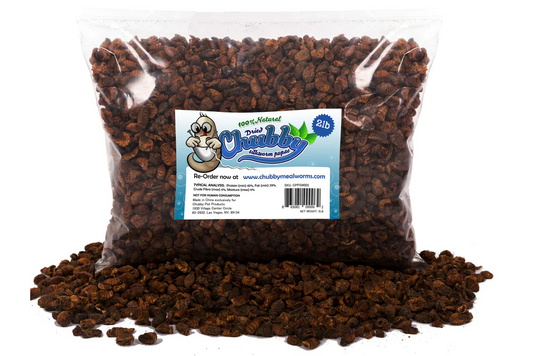 Chubby Dried Silkworm Pupae