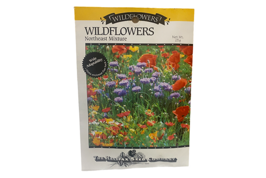 Wildflower Seed Mix - Northeast Mixture