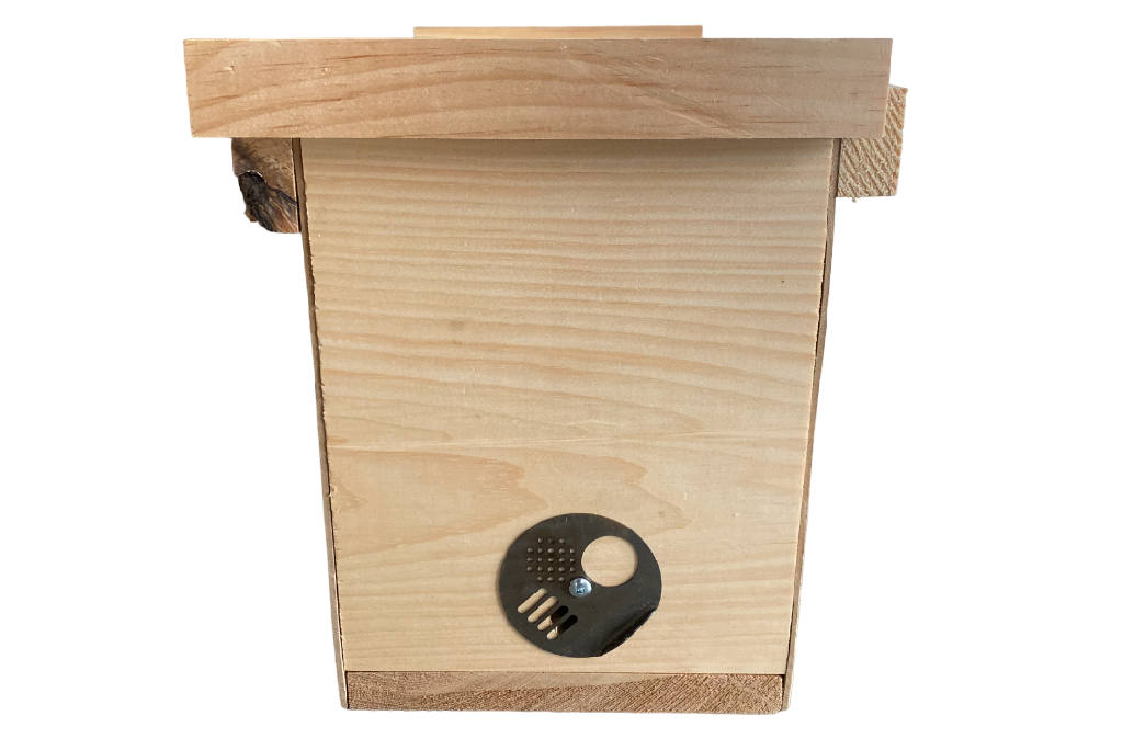 Economy Wooden Nuc Box